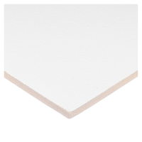 Потолочная плита Армстронг BIOGUARD PLAIN 90RH Board 600x600x12 купить в #REGION_NAME_PP# | Авангард